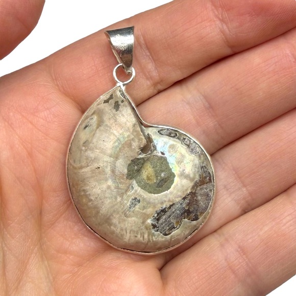 Ammonite Fossil Necklace Pendant 925 Sterling Silver Overlay - Picture 4 of 5